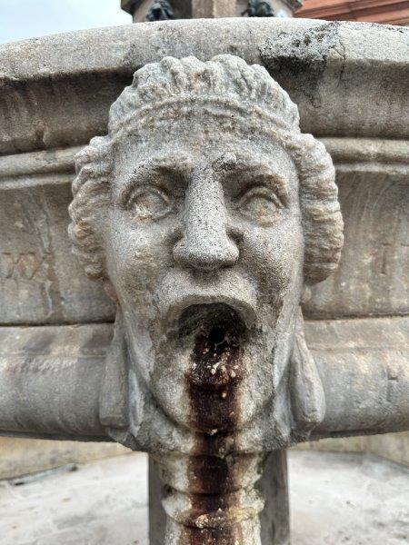 Mascaron fontaine place Saint-Étienne de Toulouse